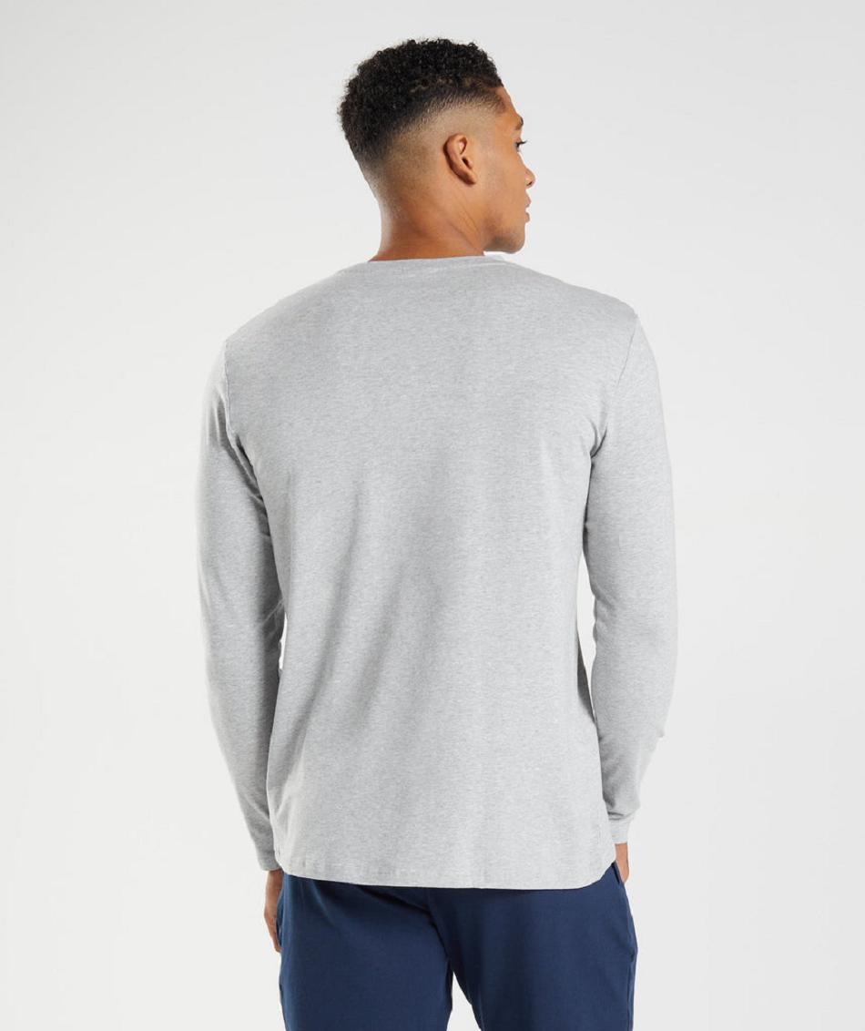 Long Sleeve Gymshark Block Hombre Gris Claro | CO 3477FDN